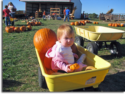 Ridin' with the pumpkins